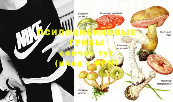 прущая мука Алзамай