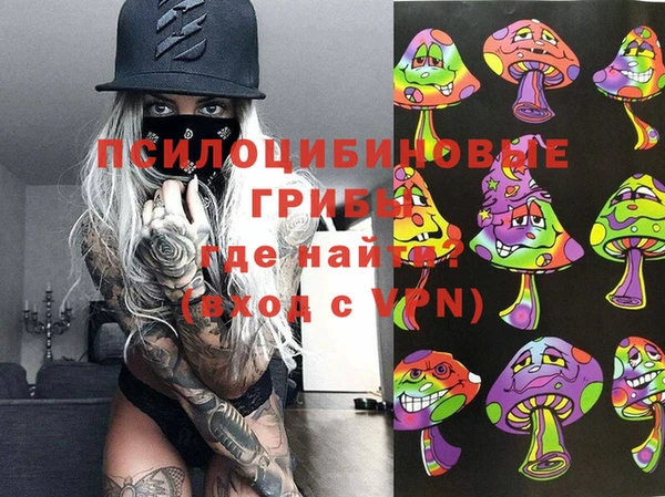 прущая мука Алзамай